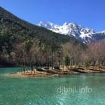 Avatar of Hina Tariq